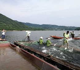 基地一角