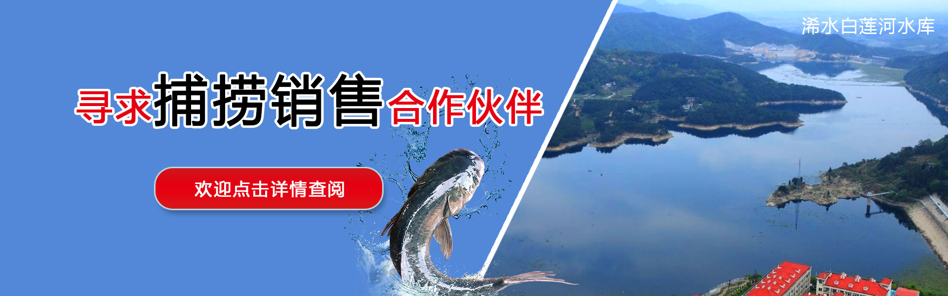 湖北胖頭魚(yú)批發(fā)廠(chǎng)家